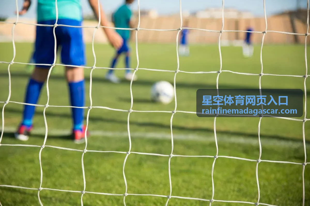 星空体育网页入口的访问方式示意图