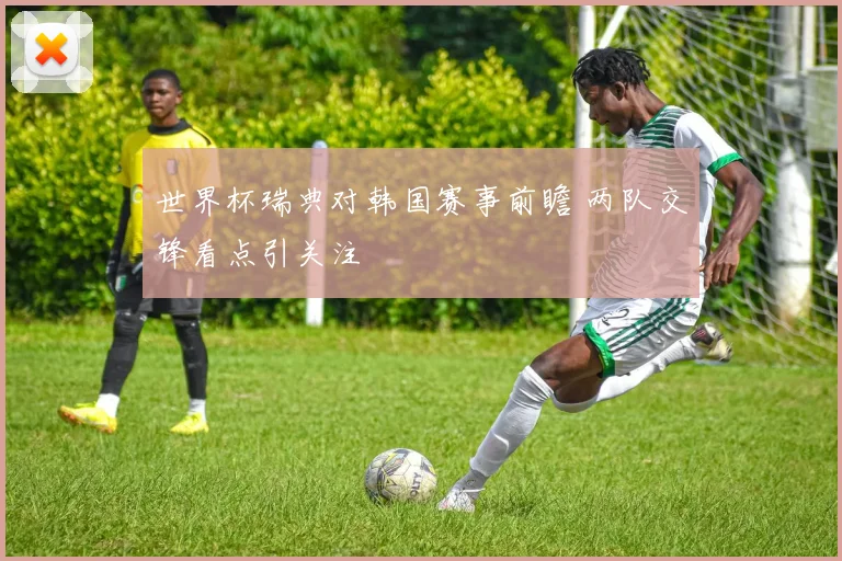 世界杯瑞典对韩国赛事前瞻 两队交锋看点引关注