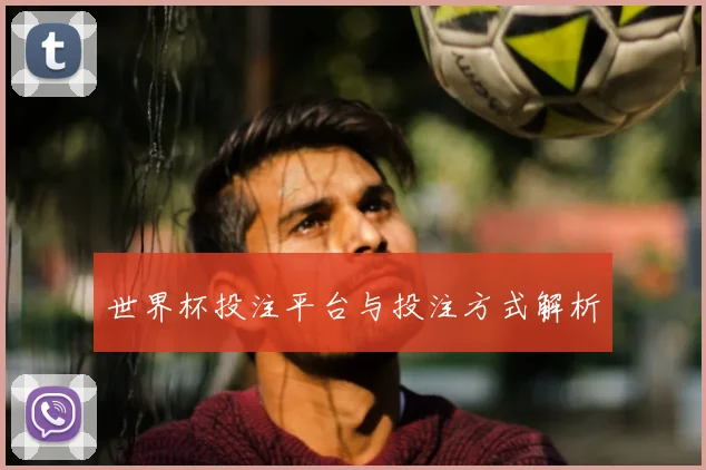 世界杯投注平台与投注方式解析