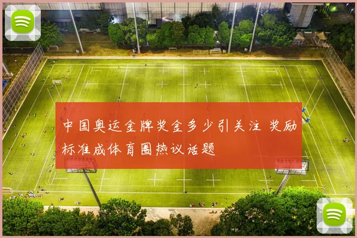 中国奥运金牌奖金多少引关注 奖励标准成体育圈热议话题