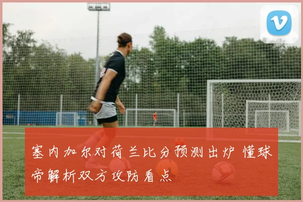 塞内加尔对荷兰比分预测出炉 懂球帝解析双方攻防看点
