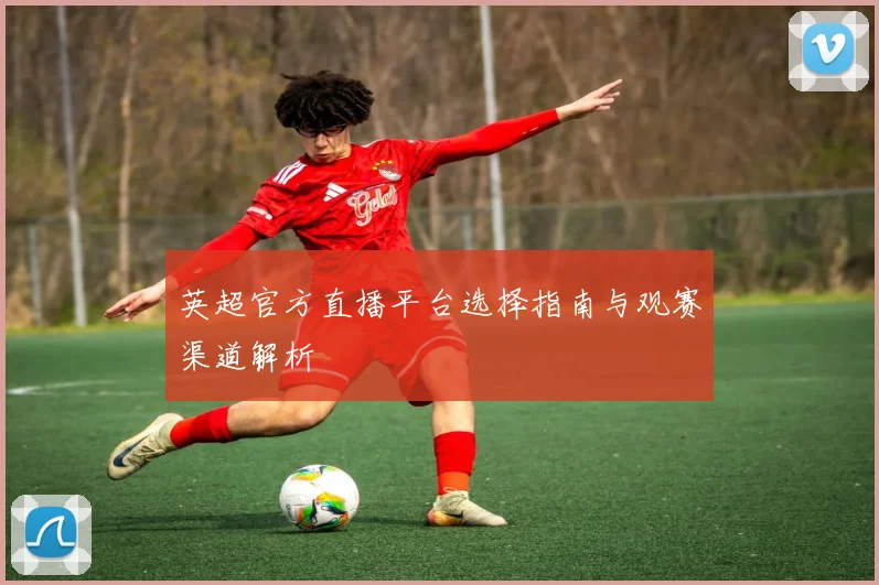 英超官方直播平台选择指南与观赛渠道解析